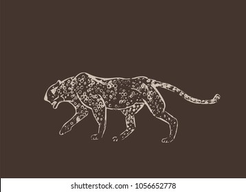 Cheetah. Hand drawn ink sketch. Horizontal drawing. Vector engraving. Predator line art. White line illustration isolated on dark brown background.