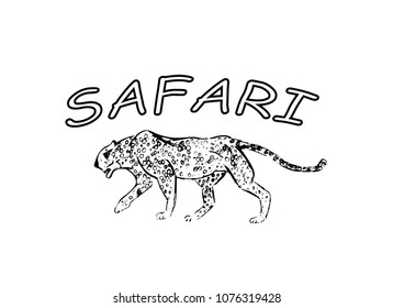 Cheetah. Hand drawn ink sketch. Horizontal drawing. Vector engraving. Predator line art. Black line illustration isolated on white background. Safari concept.