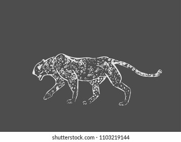 Cheetah. Hand drawn ink sketch. Horizontal drawing. Vector engraving. Predator line art. White line illustration isolated on dark gray background.