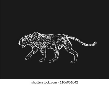 Cheetah. Hand drawn ink sketch. Horizontal drawing. Vector engraving. Predator line art. White line illustration isolated on black background.