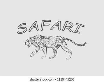 Cheetah. Hand drawn ink sketch. Horizontal drawing. Vector engraving. Predator line art. Black line illustration isolated on light gray background. Safari concept.