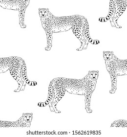 Cheetah hand drawn seamless pattern. Wild exotic cat sketch backdrop. Jaguar engraving. Animalistic textile print, leopard wallpaper design