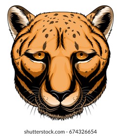 Cheetah head on white background.