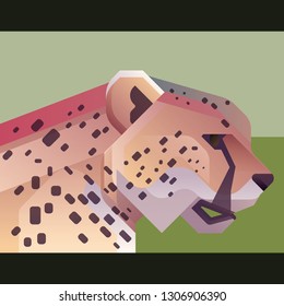 CHEETAH HEAD VECTOR ILLUSTRATION