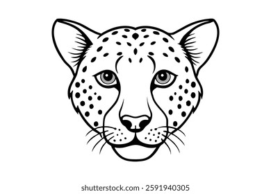 A cheetah head vector illustration 