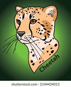 Cheetah head of a wild animal living in nature, with a skin texture print on a green background. Vector illustration