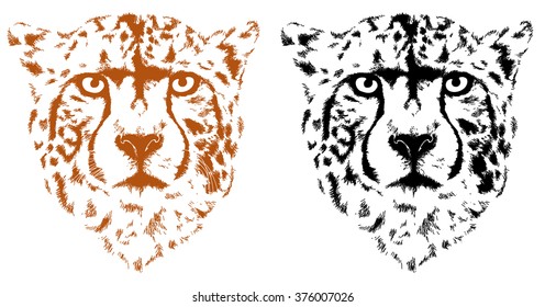 cheetah heads