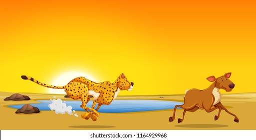 A Cheetah Hunting Deer Illustration