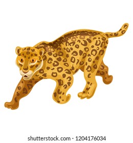 Cheetah icon. Cartoon of cheetah vector icon for web design isolated on white background