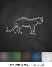 cheetah icon. Hand drawn vector illustration. Chalkboard Design