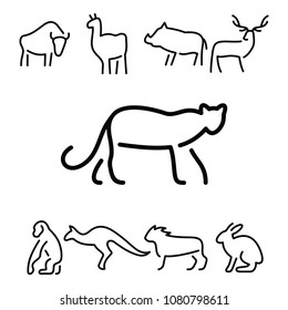 Cheetah icon vector. animal icon set