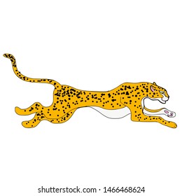 Cheetah illustration on white background