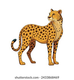 Cheetah illustration on White Background