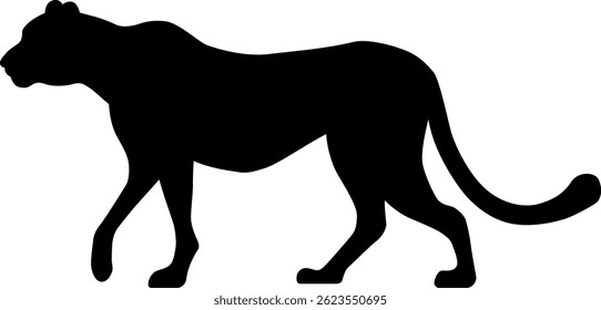 The cheetah isolated on white background