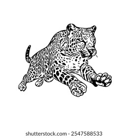 Cheetah jaguar panther wild cat vector ilustration isolated design template 