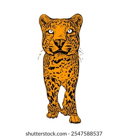 Cheetah jaguar panther wild cat vector ilustration isolated design template 