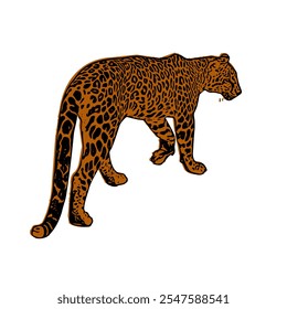 Cheetah jaguar panther wild cat vector ilustration isolated design template 