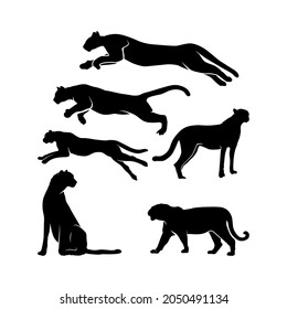 Cheetah, jaguar, puma, tiger, black panther silhouette set design inspiration