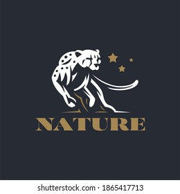 Cheetah jumping on its hind legs. Stylized vector illustration.