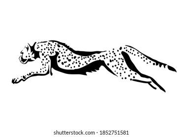 cheetah jumping vector illustration isolated on white background