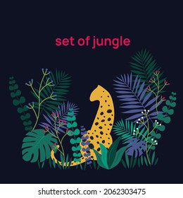 cheetah in jungle with plants 