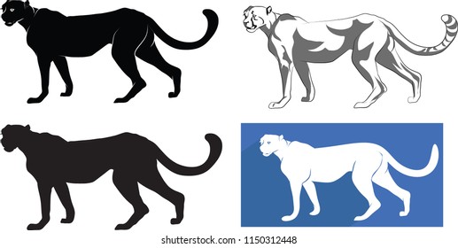 Cheetah, killing machine, big cat