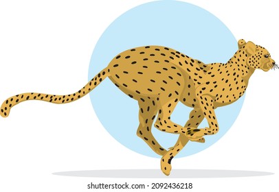 Cheetah Large Spotted African Asian Cat Feline Running Mammal Wild Animal Biology Fauna Vector Isolated on White
