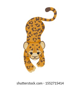 Cheetah or Leopard or jaguar cartoon character. Cute baby animal in flat style. Modern and trendy textile fashion style. Tropical animal in african jungle, wild cat isolated on white. Vector, t-shirt