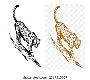 Chita, leopardo, jaguar, gato depredador. Esbozo negro sobre fondo transparente.  Ilustración vectorial dibujada a mano.
