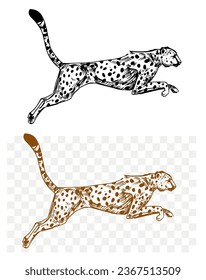 Chita, leopardo, jaguar, gato depredador. Esbozo negro sobre fondo transparente.  Ilustración vectorial dibujada a mano.