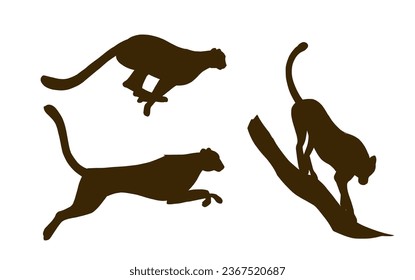 Cheetah, leopard, jaguar, predatory cat. Black silhouette on transparent background.  Hand drawn vector illustration.