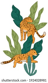 Cheetah or leopard laying in bush of tropical flowers or plant. Isolated predator with spotted furry skin resting in shade. Zoo or national park with animals. Feline carnivore. Vector in flat style