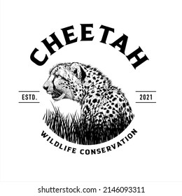 Cheetah logo, company logo design idea, vector illustration