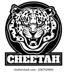 Cheetah logo. Cheetah  head, vector illustration