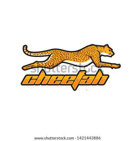 Cheetah logo template vector illustration