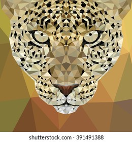 Cheetah low poly design. Triangle vector illustration