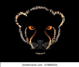 Cheetah on black background
