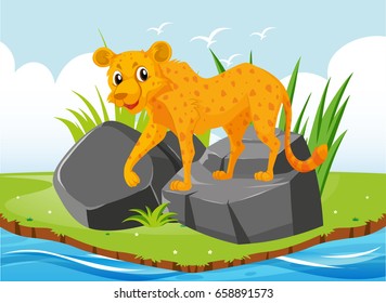 Cheetah on the rock illustration