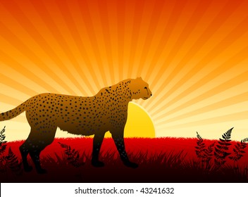 Cheetah on Sunset Background Original Vector Illustration Animals on Sunset Ideal for Wildlife Nature Concepts