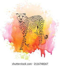 cheetah painting or vector with watercolors