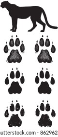 Cheetah Paw Prints Or Tracks In Three Vector Styles