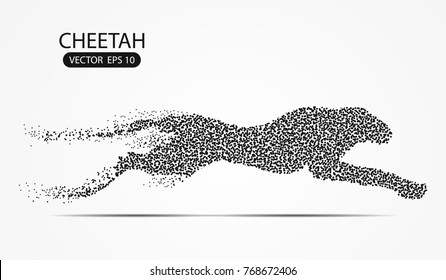 Cheetah point scales on gray background with dots color black effects. Wire frame 3D mesh spot network, design sphere, dot and structure. Vector illustration eps 10.