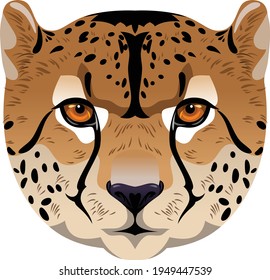 Cheetah Portrait, Fas, Vector Image, Predator, Big Cat 