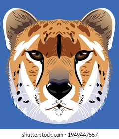 Cheetah Portrait, Fas, Vector Image, Predator, Big Cat 