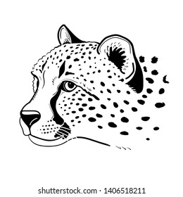 Cheetah portrait  head isolated on white background. Template. Close-up. Clip art. Hand Painting. Ink. Line art, black and white