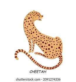 Cheetah. The predatory animal of Africa. Vector