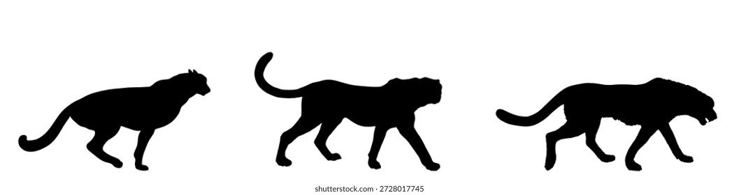 Ilustración de la silueta del Vector del orgullo del guepardo aislada en el fondo. Gato grande, el animal más rápido del planeta. Safari africano. Elegante familia de guepardos, apareamiento masculino y femenino. Forma la batalla masculina de la sombra del guepardo