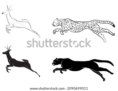 Cheetah running behind the deer, Vector illustration of animals, Line art of hunting predator