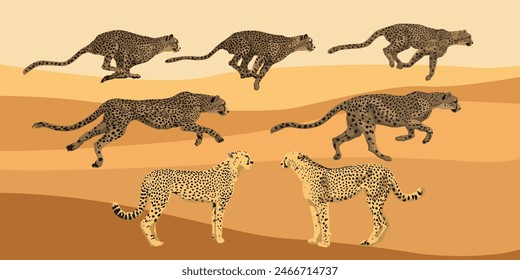 Cheetah running fast on the brown desert. Vector illustration series of cheetah for background design.