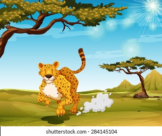 Cheetah running in the field at daytime